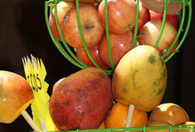 Fresh fruit for juices and agua fresca, a refreshing drink popular throughout Mexico. © Christina Stobbs, 2011