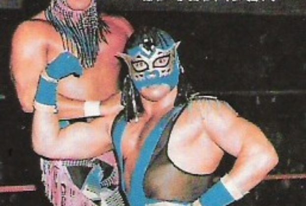 Wrestling masks