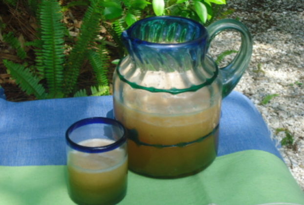 Agua de Melon