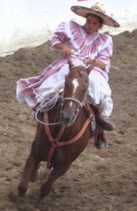 Galloping side saddle © Dale Hoyt Palfrey 2007