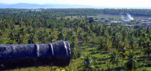 On San Basilio Hill, an old cannon points seaward beyond a coconut plantation on Mexico's Pacific coast. San Blas, Nayarit is historic town with many interesting buildings dating back 250 years or more. © Christina Stobbs, 2009