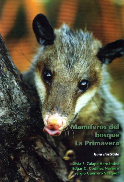 Guide to the Mammals of Mexico's Primavera Forest: