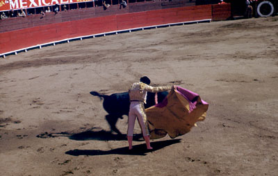 The excitement of the bullfight © Shep Lenchek, 1997
