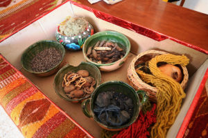 Natural substances used to dye wool in Oaxaca include the cochineal insect. © Alvin Starkman 2007