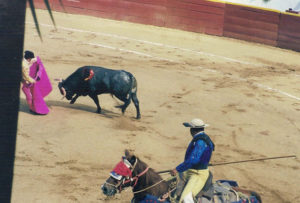 Bullfight © Larry Freeman, 2010