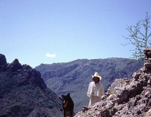 From the guest house, I hired a Tarahumara Indian and his dog to guide me up into the mountains surrounding Mexico's Copper Canyon. © Geri Anderson 2001.