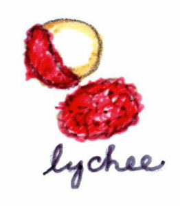 Lychee is a member of the soapberry family. About the size of a large strawberry, the lychee has a rough, 'bumpy' dark red skin with sweet white flesh. — El litchi es un miembro de la familia de jaboncillo (soapberry). Es del tamaño de una fresa grande, tiene una piel abollada y una carne blanca y dulce.