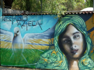 This magical portrait of the Virgin carries a message of peace. It is one of many graffiti murals on the Estadio Azteca (Aztec Stadium) in Mexico City. © Anthony Wright, 2009