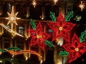 Lighted poinsettias grace the windows of the offices of city government during December in Mexico City © Edythe Anstey Hanen, 2012