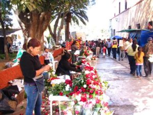 Selling roses to give to The Virgin of Guadalupe © Tara Lowry, 2014