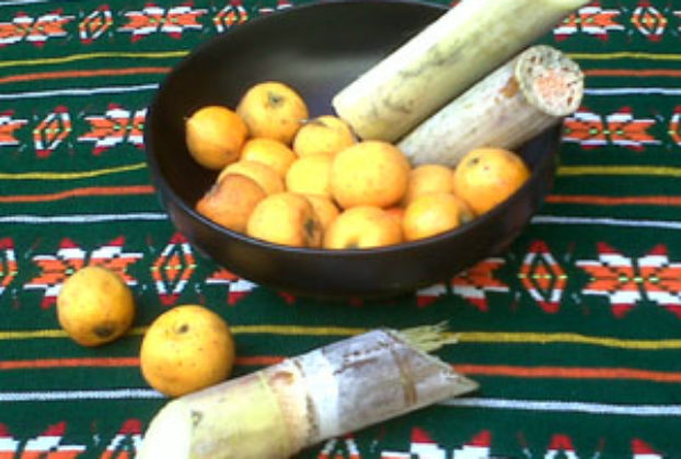 Tejocote fruit and sugar cane © Daniel Wheeler, 2009