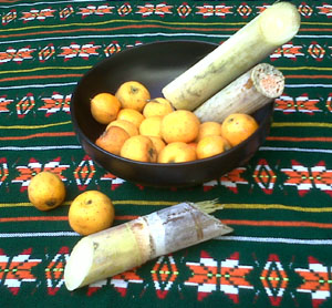 Tejocote fruit and sugar cane © Daniel Wheeler, 2009
