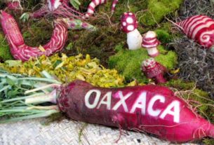 The Night of the Radish festival takes place every December 23rd in Oaxaca © Tara Lowry, 2013