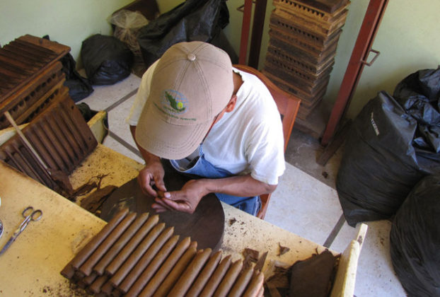 A German cigar produced in Mexico: Puros Sihuapan