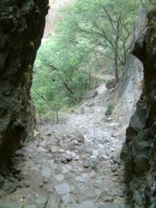 The path narrows. Not pictured are almost continual rock stairs to the top.