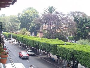 I found this great second floor restaurant on the southeast side of the plaza called Rincon del Burrito Real where I ordered a beer and they just kept coming with free snacks and food. While I was there I was able to take these pictures looking west and east. Under the hedge trees are the numerous chairs of the shoeshiners.