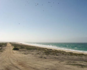 Baja Beach, Mexico