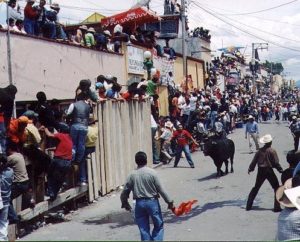 Huamantla, Tlaxcala - bull run