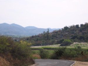 The Zapata Route in Morelos Part 1: Landscape along the Zapata Route. Note the tassels on the ripe sugar cane. © Julia Taylor, 2007