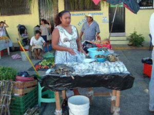 Mexico's markets: Mercados de Mexico