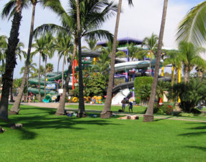 The colorful water slides make a fun contrast with the tall palm trees in Morelos, Mexico. © Julia Taylor 2008