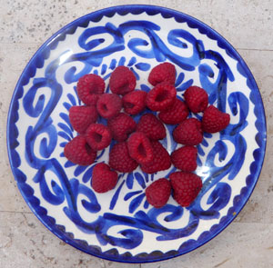 Mexican raspberries © Daniel Wheeler, 2010