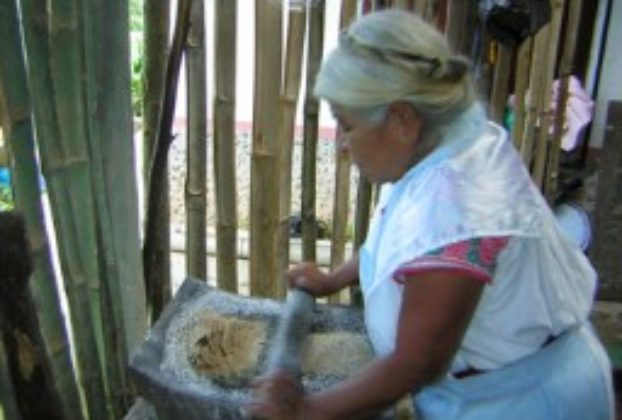 A member of Maseual Siuat Xochitajkitinij grinds corn by hand to make tortillas. She uses a traditional mano and metate.