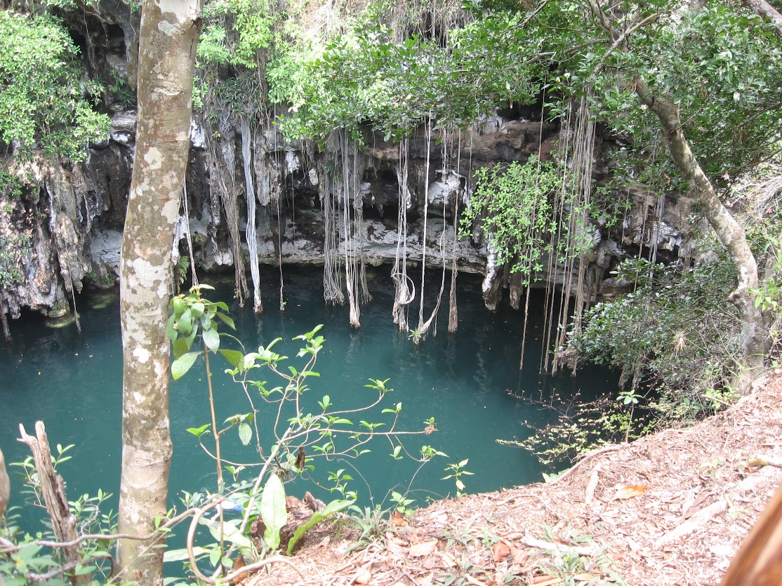 View of Cenote Yokdzonot. Ryan Ready (Flickr). CC BY 2.0 Generic.